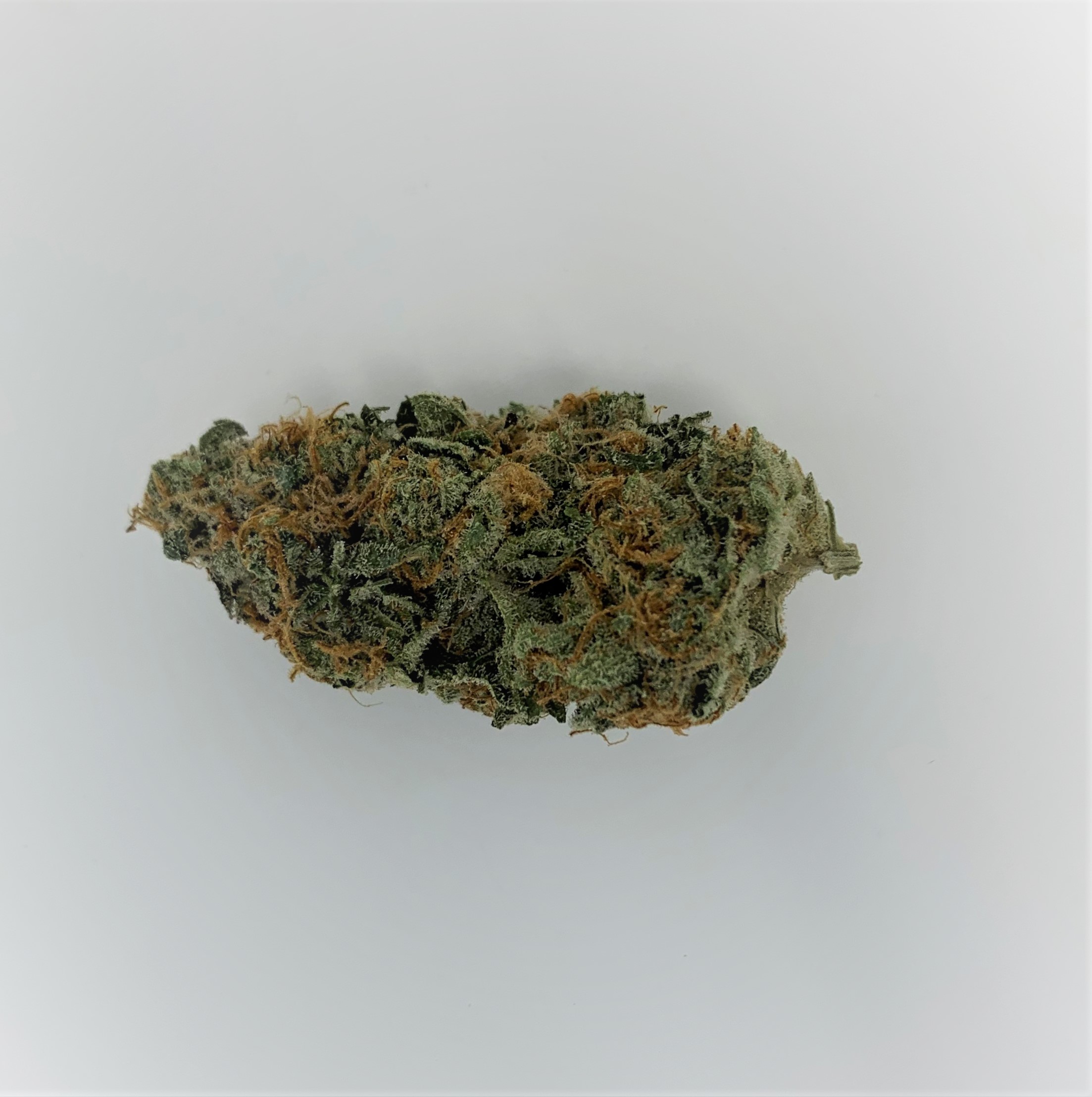 peanutbutter breath peanut butter breath