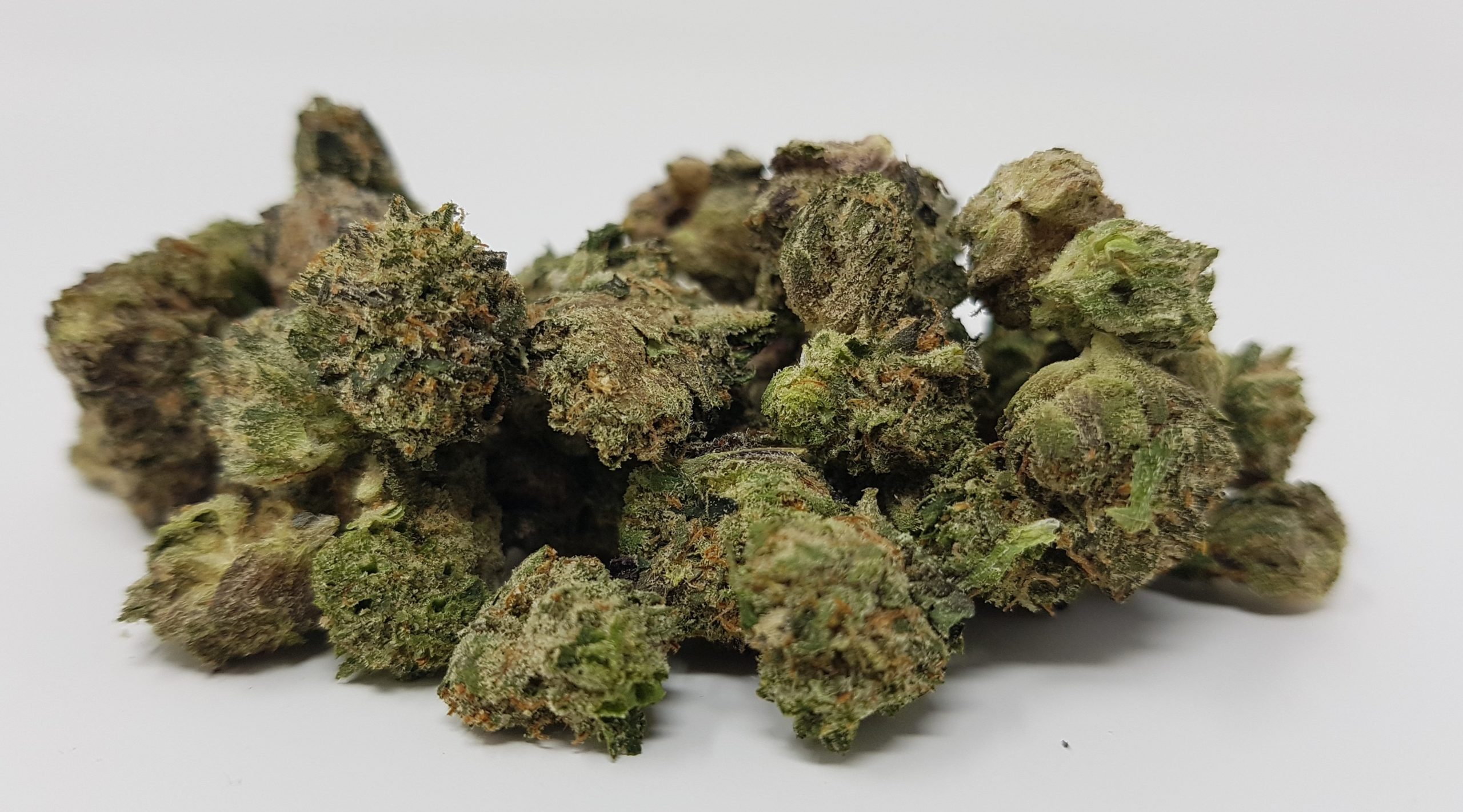 Gelato AAA geleto cake smalls - Image 1